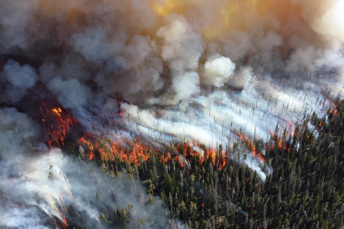 Рослесхоз: на майских праздниках регионам надлежит усилить охрану лесов от пожаров